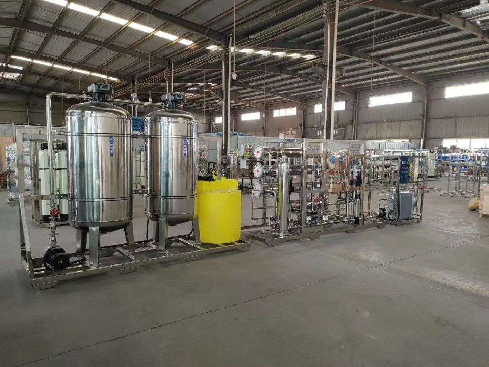 贵州工厂厂3吨不锈钢双极反渗透设备加EDI设备